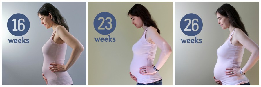 26 week collage ~ ElephantEats.com