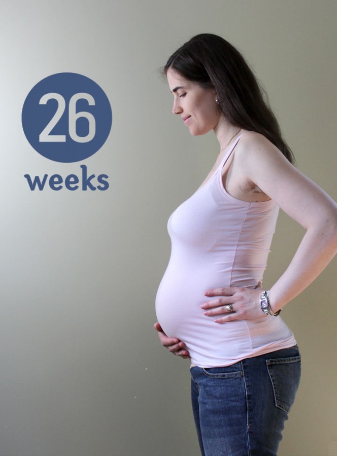 26 weeks ~ ElephantEats.com