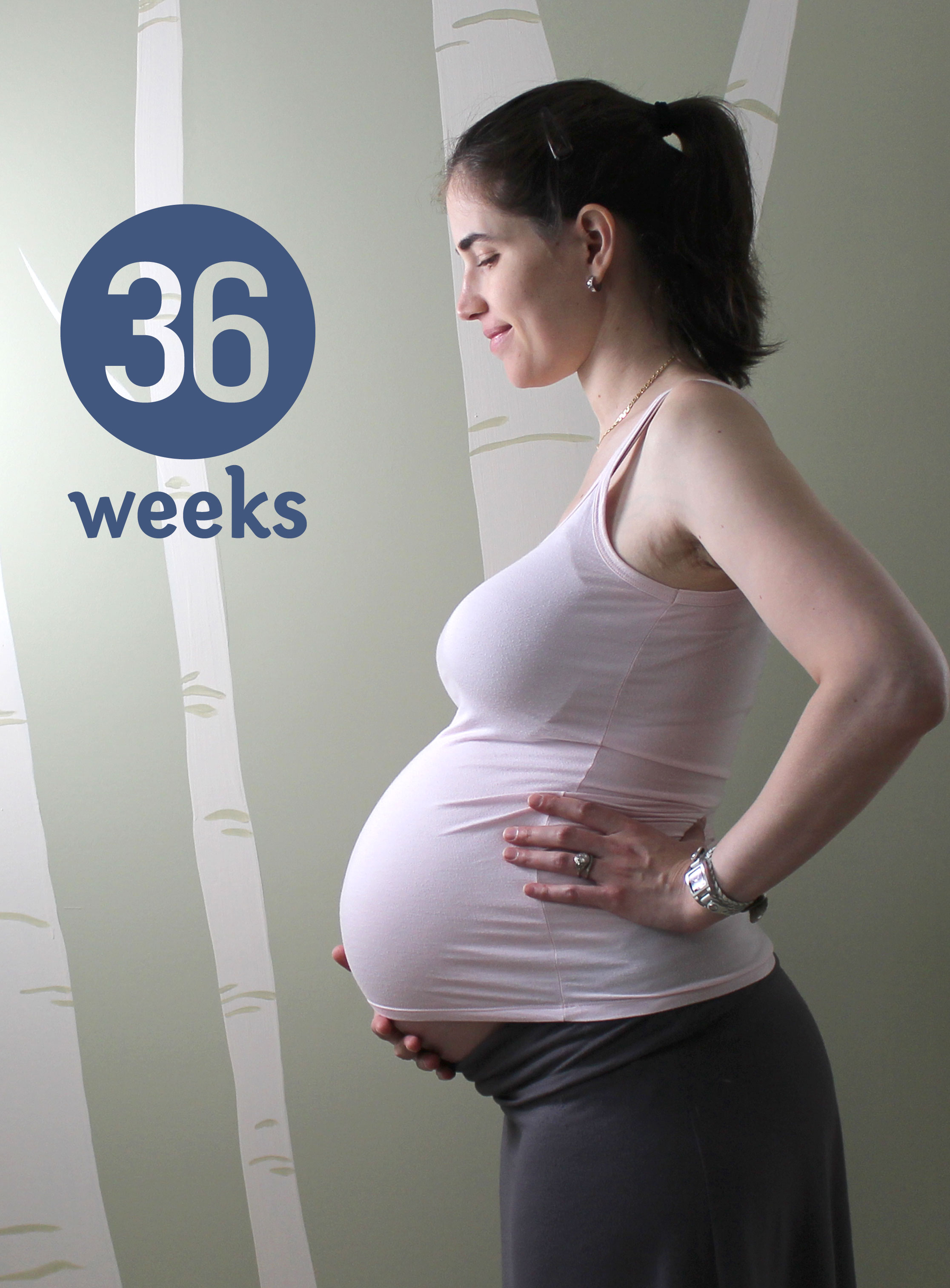 36 Weeks Pregnant - Dream Book Design