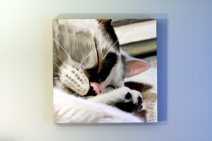 Custom Cat Painting