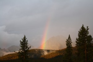 Idaho Rainbow ~ ElephantEats.com