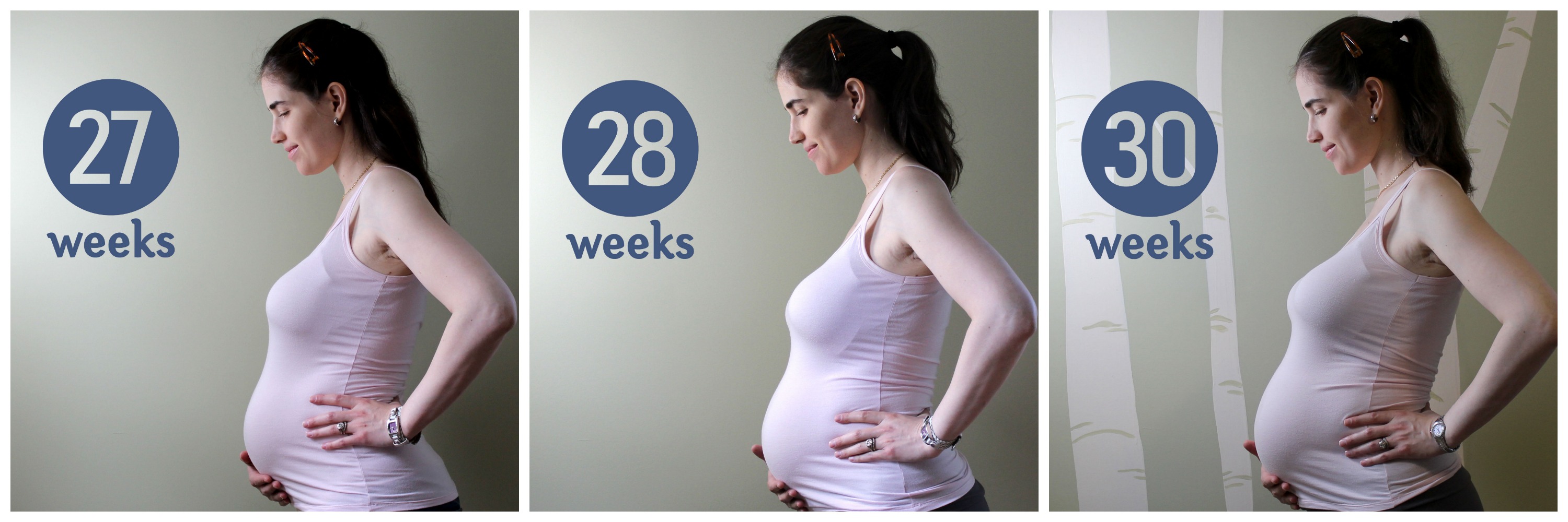 Живот по неделям 27 беременности